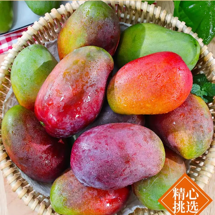 李老师专属【攀枝花彩虹芒】新世纪4.5斤8.5斤装攀枝花昆明两仓发货