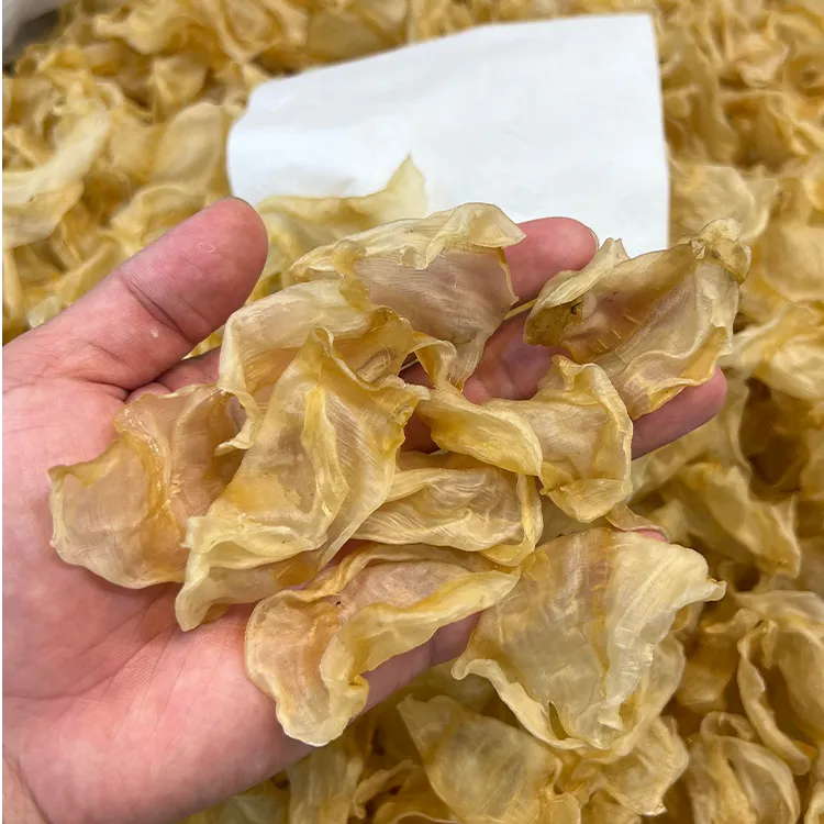 万美引力凤尾胶正品深海红鱼花胶无糖不增重天然干货滋补煲汤甜品