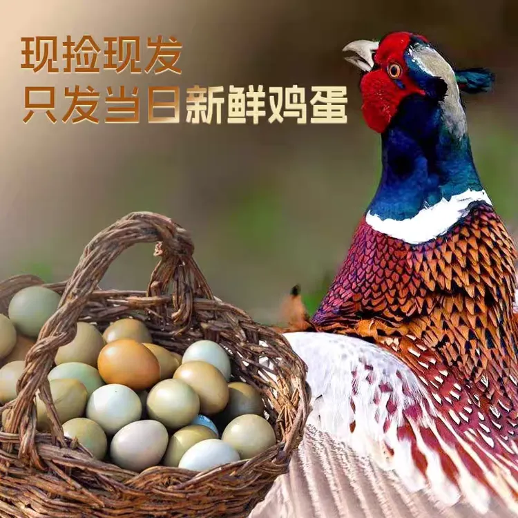七彩山鸡蛋（保真，保新鲜）（山林散养山鸡蛋）30/60枚 /SL-006