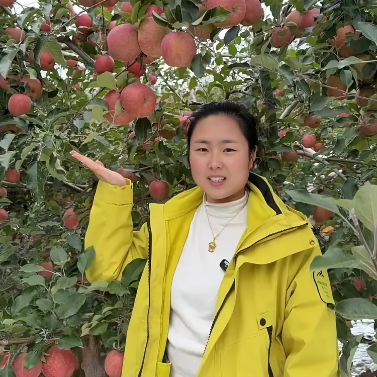 【乐乐推荐】四川汉源丑苹果 脆甜爽口多汁 应季新鲜水果