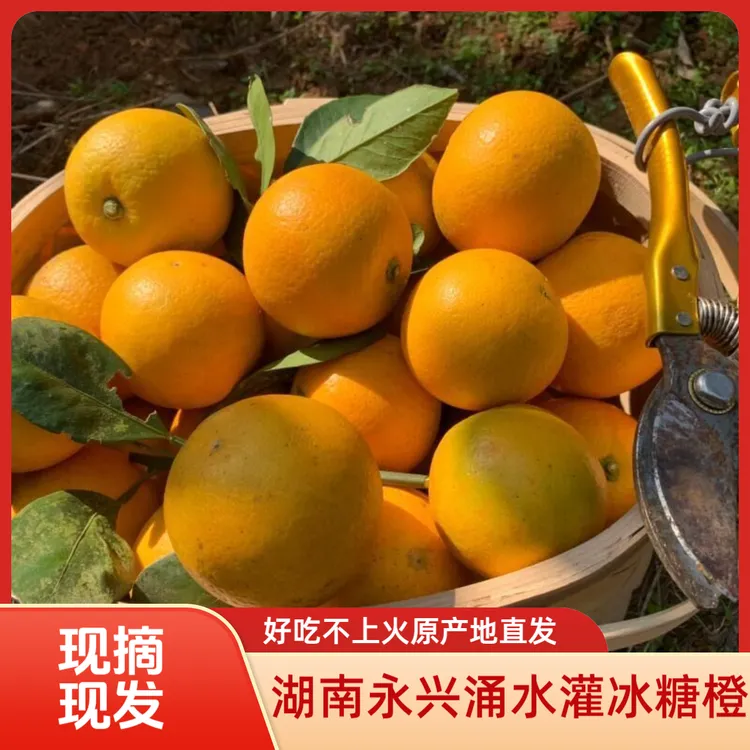 湖南永兴涌水灌冰糖橙原产地现摘现发17斤装