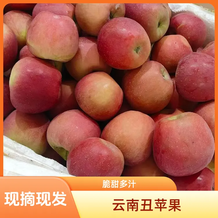 云南昭通丑苹果现摘现发脆甜多汁新鲜应季水果