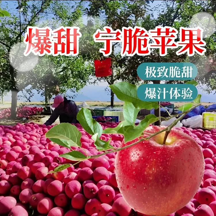 大宁苹果新鲜水果冰糖心脆甜多汁产地现摘包邮
