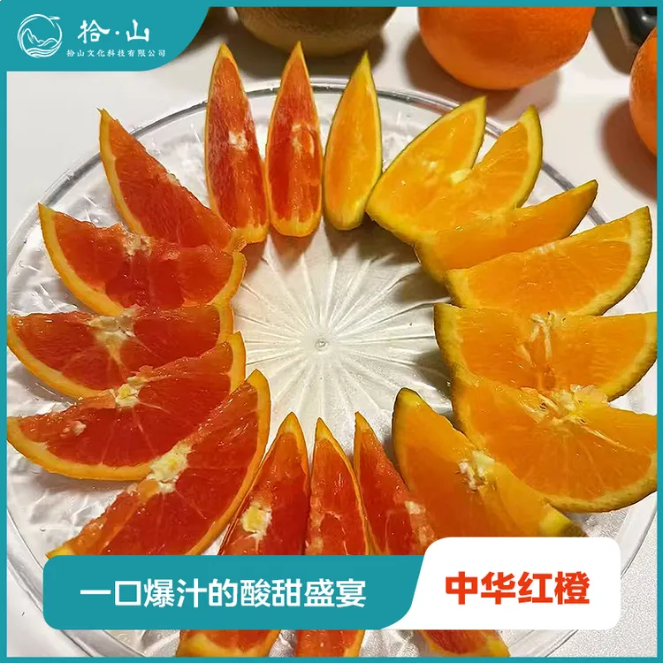 秭归特产中华红橙营养丰富红肉脐橙红心甜蜜新鲜美味当季水果