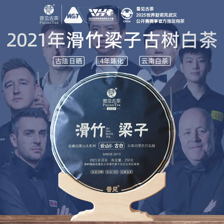 普见古茶2021年滑竹梁子（古树白茶）4年陈 古法白茶 