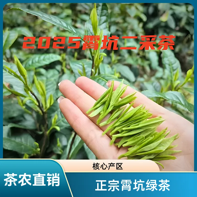 【2025霄坑二采茶】正宗霄坑村核心产区茶农直销高山野生茶250g包邮