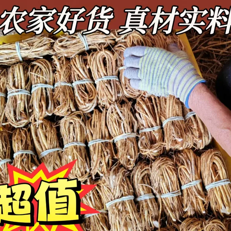 广西深山精选【五指毛桃捆扎不包木头】足干无硫煲汤材料