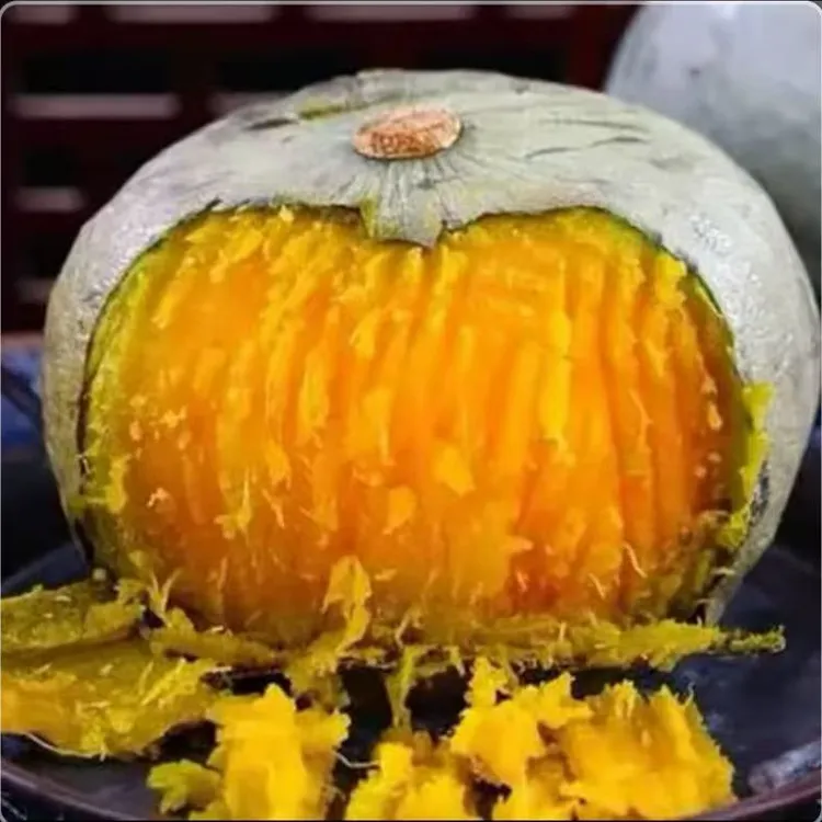 银粟南瓜种子家庭阳台小院盆栽地栽四季种植