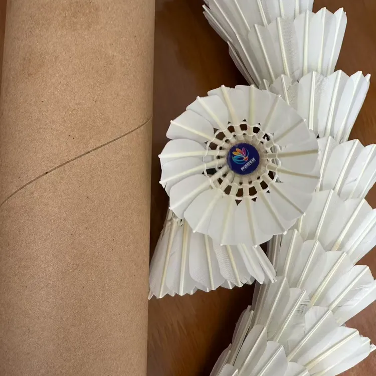 三级粗杆鹅拉直羽毛球耐打训练室内外稳定飞行粗杆口粮球