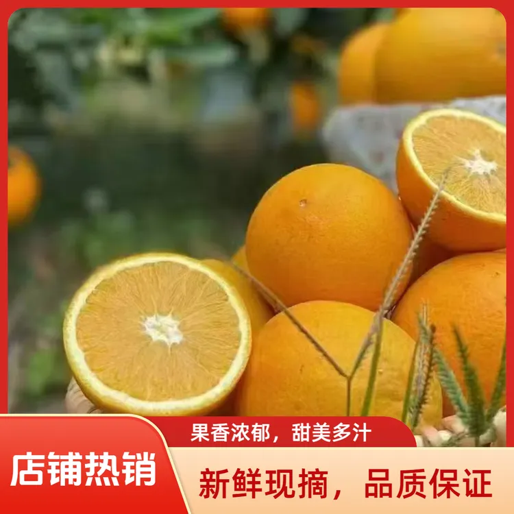 【顺丰发货】【老树脐橙】正宗赣南脐橙现摘现发汁水充足酸甜爆汁
