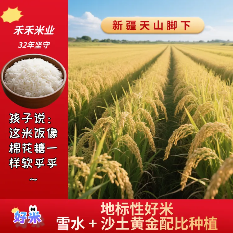 【不是所有米都长200天】【新疆特有羊脂玉香米】新疆好米 西域禾禾香