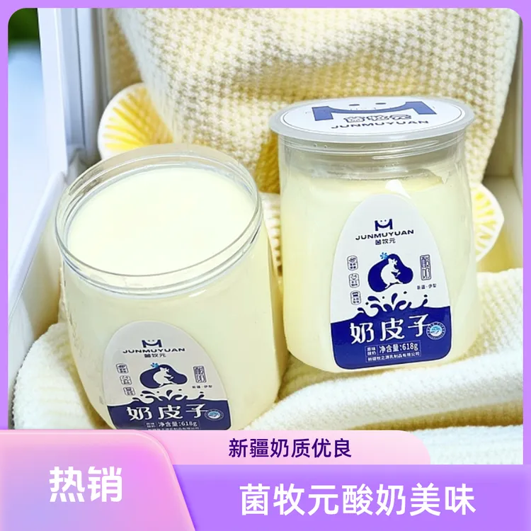 【菌牧元】新疆奶皮子酸奶618g*1罐无多余添加剂网红饮品风味营养