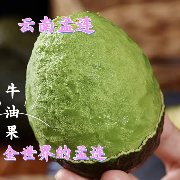 【勐玛山】云南孟连哈斯牛油果宝宝辅食代餐当季新鲜现摘国产鳄梨