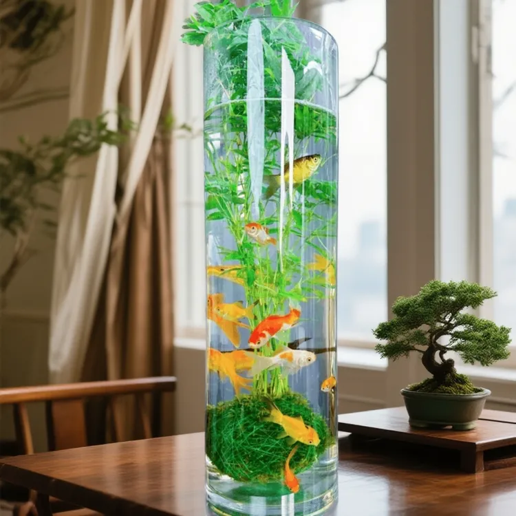 苔藓球观音竹绿植盆景客厅玄关耐寒好养水培植物室内懒人养不死