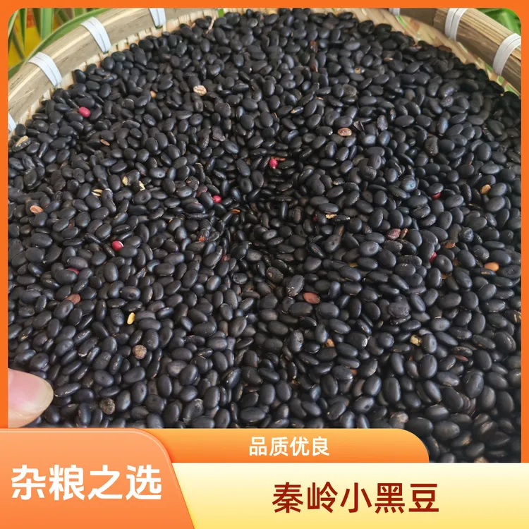 秦岭新货小黑豆农家自种可打豆浆煲汤滋补养生食材