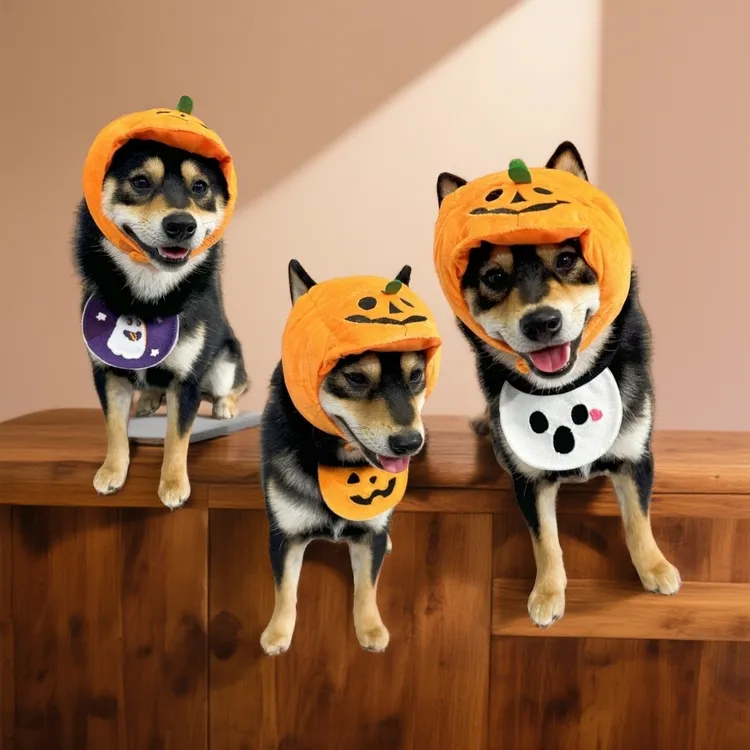 2024新品万圣节南瓜幽灵猫咪狗狗宠物服装帽子围兜口水巾萌宠饰