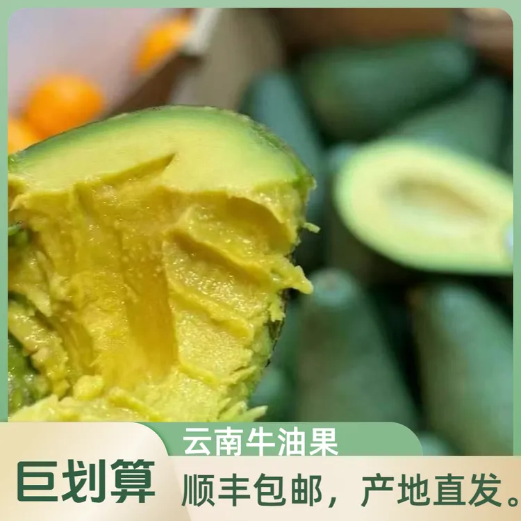 吴大漂亮【顺丰发货】云南新鲜牛油果青皮熟品克顿超级巨无霸大果