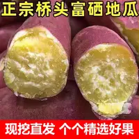 海南桥头地瓜番薯 软糯香甜 黄心番薯 4.5斤/9斤/箱