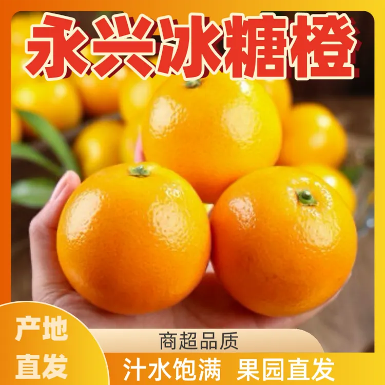 【顺丰包邮】湖南永兴冰糖橙新鲜现摘正宗产地爆甜多汁新鲜应季水果