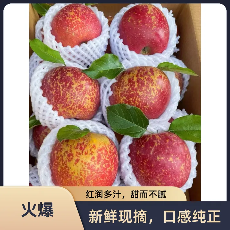 正宗云南昭通冰糖心丑苹果清甜爽脆果肉细腻产地直发