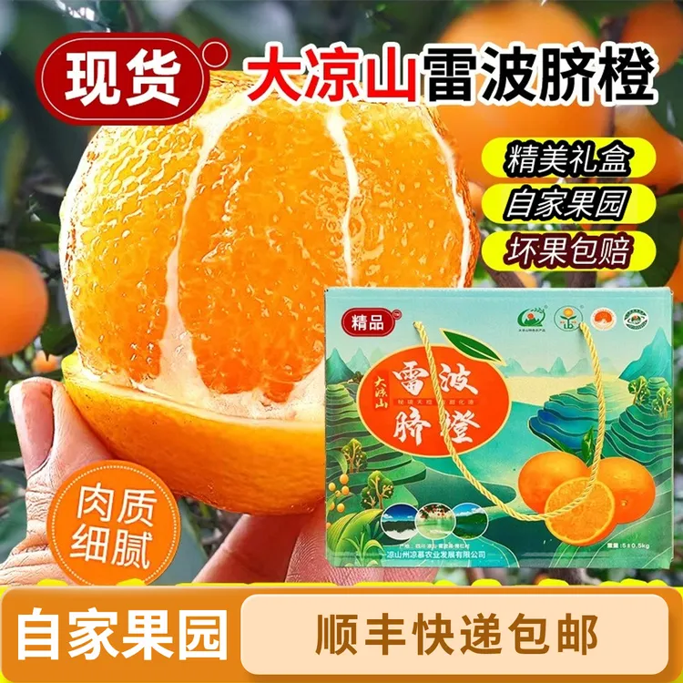 四川大凉山雷波脐橙子送礼香甜爆汁新鲜果园采摘