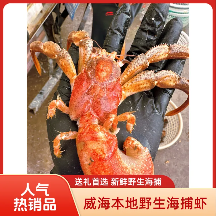 【威海野生虾怪】带壳新鲜虾怪顺丰特快大号10-15只3斤装保鲜不保活