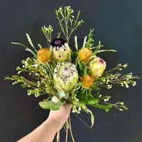 【不是凡花 中场福利】 白雪皇后套 植物非标品介意勿拍8月25号