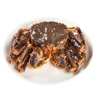 鲜活冷水俄罗斯帝王蟹 1只(1.5-2kg)