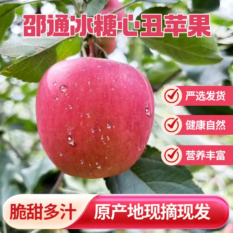 昭通红富士201丑萍果苹果脆甜多汁冰糖心2/5斤纯天然无公害种植