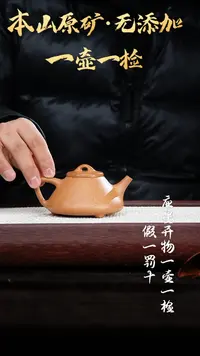 【闪购商品】紫砂茶壶老宕口黄金段 子冶石瓢 200cc