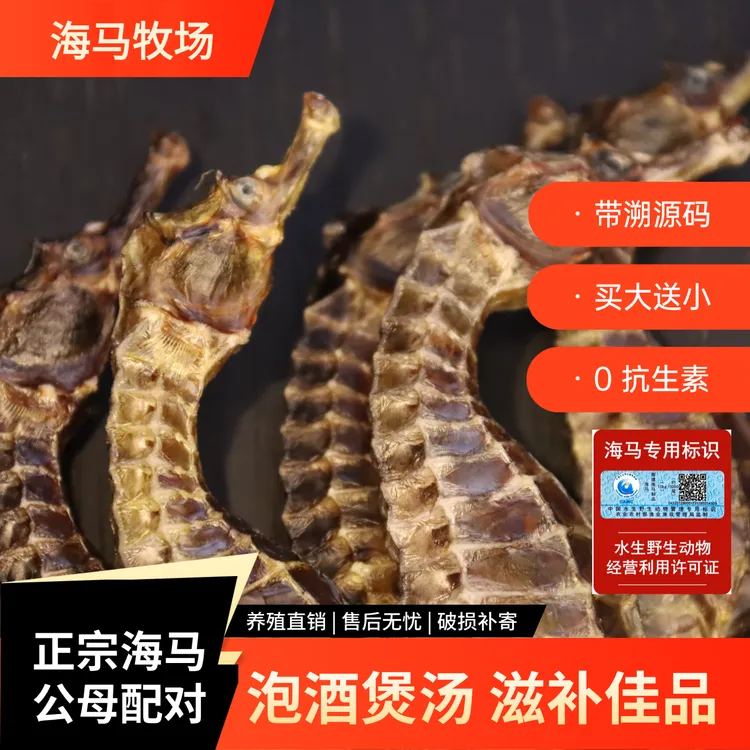 海马天然生晒干货煲汤泡酒男女通用带溯源码送礼保真足干可搭海龙