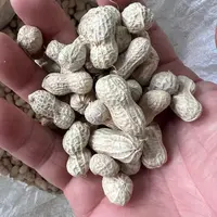 【陈玉兰助农专属】代收农家干货花生