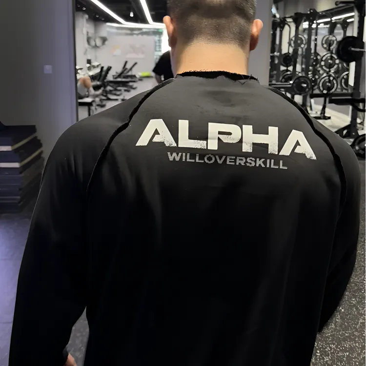 Alphayard重磅棉男长袖宽松训练服透气铁馆健身卫衣秋冬训练019