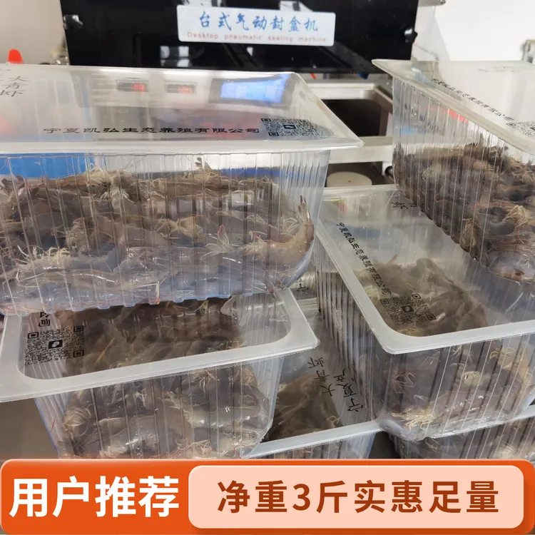 活虾现捞 30-40头 保鲜不保活 （净重3斤）0抗 0激素 0添加