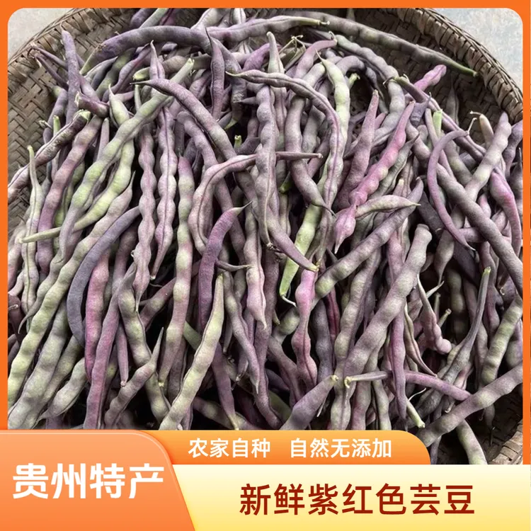 新鲜紫皮四季豆贵州现摘紫色豆角农家自种红芸豆时令蔬菜九粒红