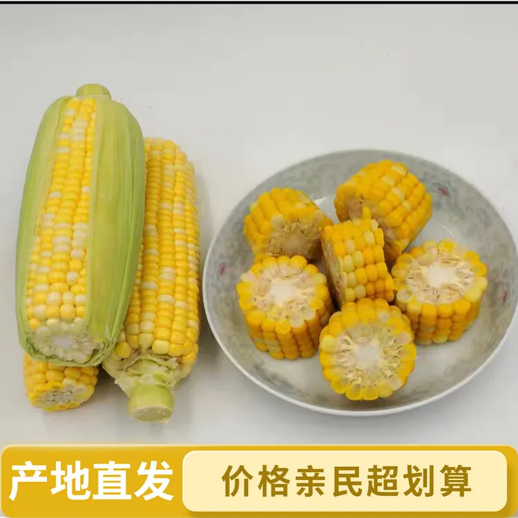 云南新鲜水果甜玉米产地现摘现发可生吃（中小果）