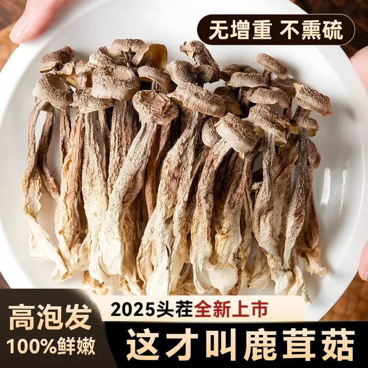 精品新货鹿茸菇干货特产250g正品煲汤香菇蘑菇类新鲜脆脆菇可批发