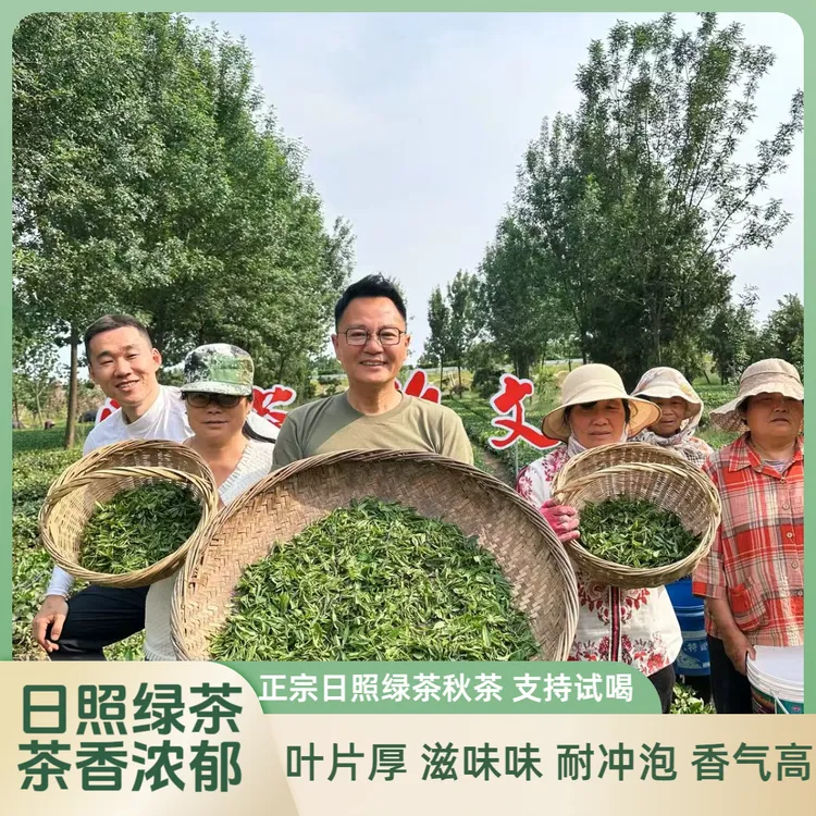 2025年正宗日照绿茶秋茶板栗香浓郁耐冲泡实惠装