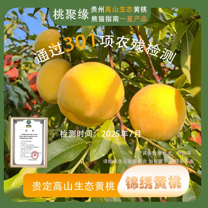 果王甜度≥13＋贵定高山生态锦绣黄桃当季新鲜水果桃香浓郁脆甜