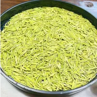 2025 春茶龙形金香玉--绿茶三大优良品种兰花香罐装