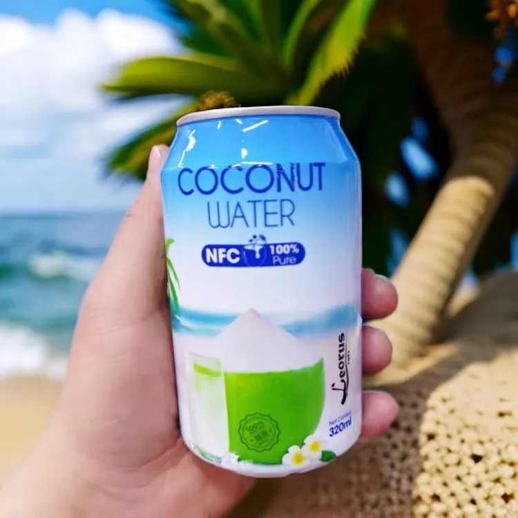 越南进口椰汁水利奥丝NFC100%椰子水饮料320ml夏季饮品听装