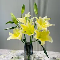 【黄百合】香水百合云南鲜花基 家用鲜花直播间鲜切花玫瑰两单送草
