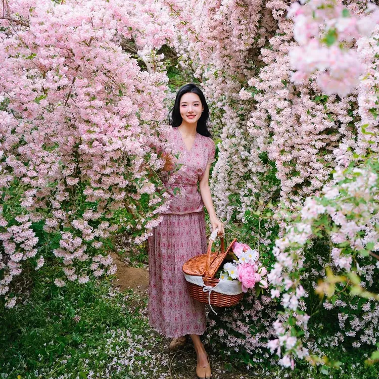 猥实花粉花耐寒花灌木垂钓花瀑布室内盆栽地栽庭院稀有树种花灌木