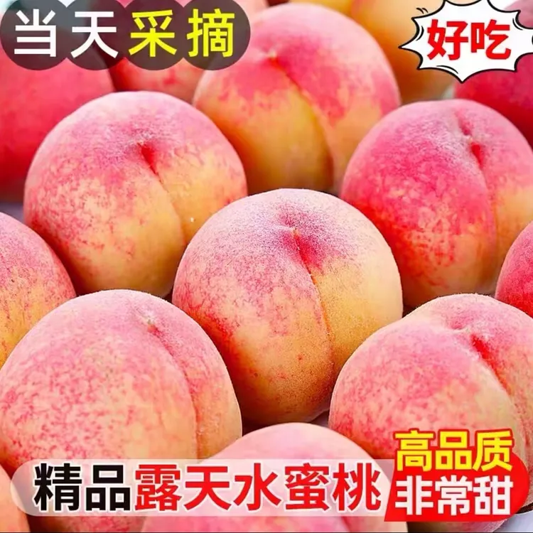 北京平谷大桃新鲜现摘桃子水蜜桃鲜甜多汁脆软两吃应季水果