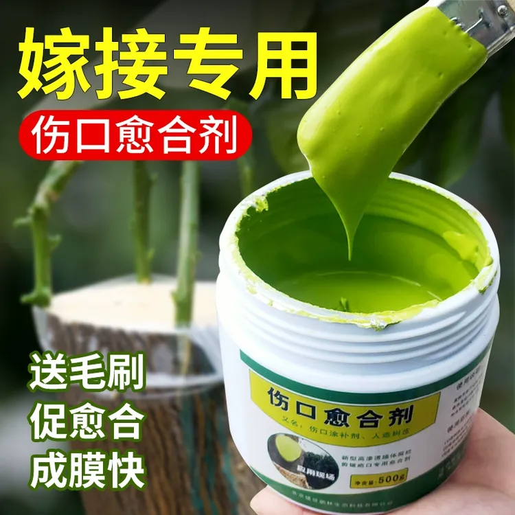 新型植物愈合剂树枝封口修复膏植物创伤愈合液树干涂抹剂嫁接愈合