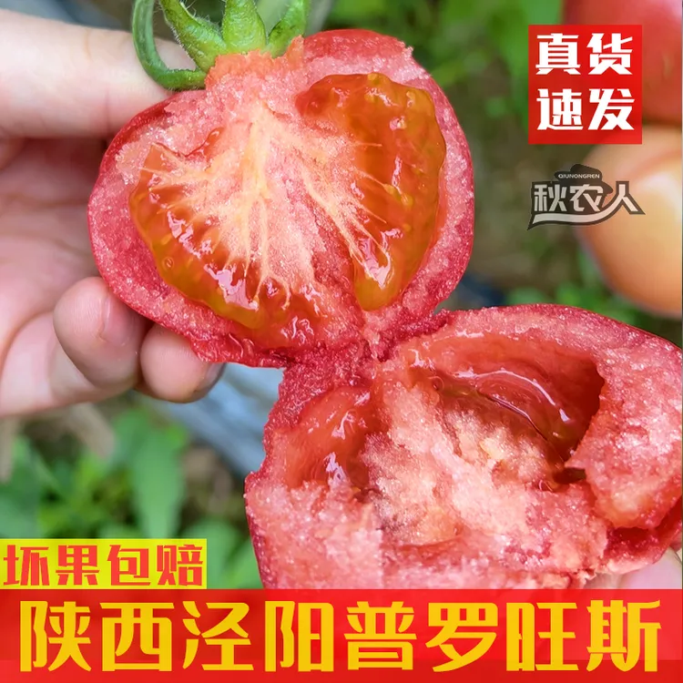 秋农人陕西泾阳普罗旺斯水果西红柿沙瓤3/5斤坏果包赔