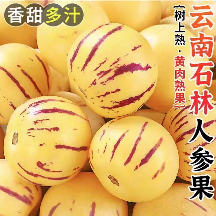 【H】产地直发云南人参果黄肉圆果树上自然成熟清甜多汁新鲜水果
