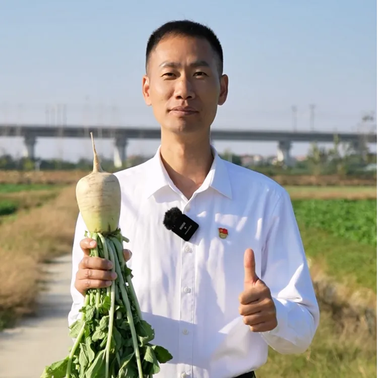 【赵书记专属】黄州萝卜 鲜萝卜 露天种植 国家地理标志产品 5斤装 