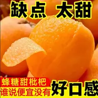 老树枇杷-四川大五星枇杷新鲜采摘软糯香甜