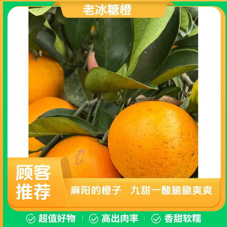 麻阳一号老冰糖橙儿时味道新鲜采摘九甜一酸脆脆爽爽